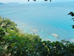 -鹿嘴山庄