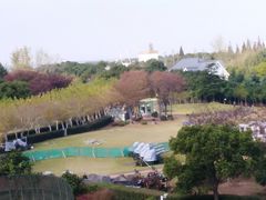 -东方绿舟景区