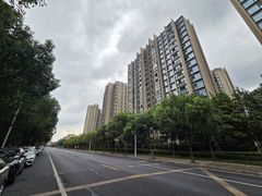 -南翔镇银翔湖公园