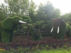 -石家庄市动物园