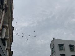 -陈记汤饭(水巷口店)