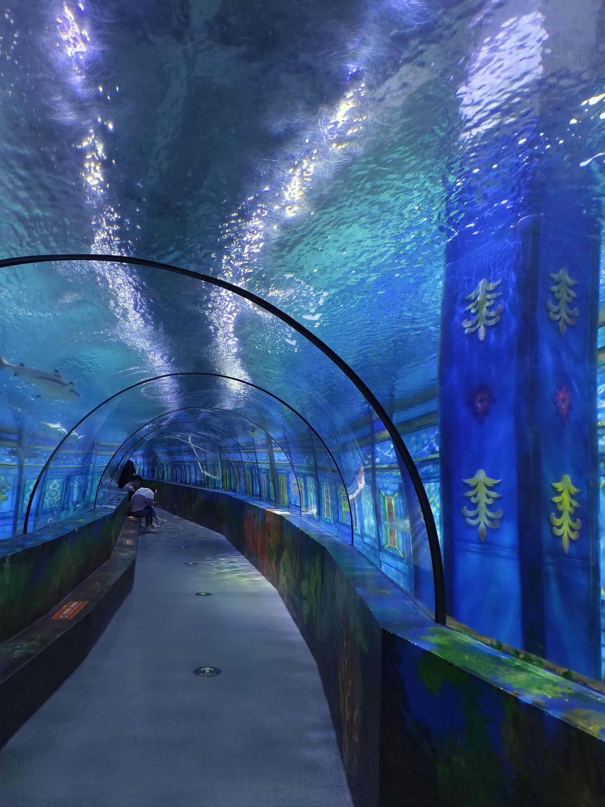 海洋世界的美丽