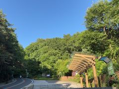 -吉林市朱雀山国家森林公园