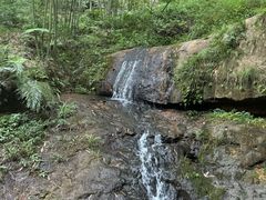 -蜀南竹海景区