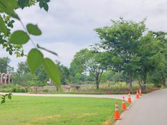 -鹅湖玫瑰文化园