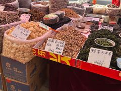-南翠屏公园