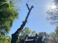 -灵顺寺