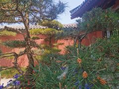 -西安华清御汤酒店