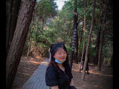 -铁山坪森林公园