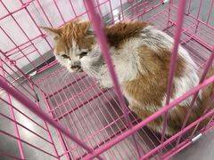 -畜牧兽医站(共江路店)