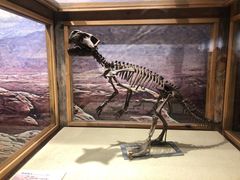 -国家自然博物馆