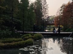 -云溪植物园