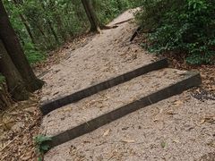 -黄埔油麻山森林公园