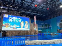 -华夏文旅海洋公园