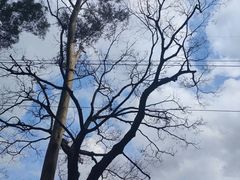 -广州市白云山风景名胜区