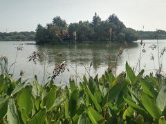 -东湖落雁景区