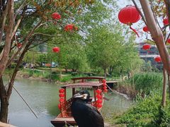 -长兴太湖图影湿地文化园