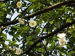 -白塘生态植物园