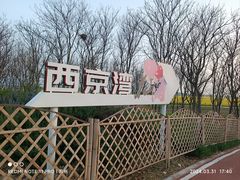 -西京湾花海