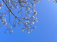 -杭州植物园