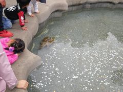 -广东圆玄道观