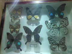 -陕西自然博物馆