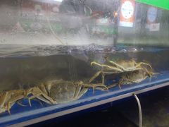 -阳澄湖大闸蟹·琼灵阁牌品牌连锁(吴中总店)