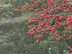 -彳亍咖啡·这里(水湾路店)