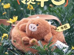 -广州热雪奇迹
