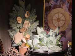 -雪灵魔法世界SHELLY’S TAROT(大良桂畔里店)
