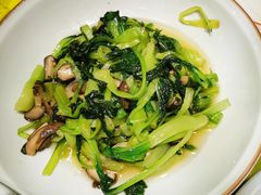 ws香菇鸡毛菜-辛香汇(宝乐汇店)