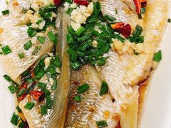 -魚當家