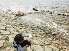 -南汇嘴观海公园