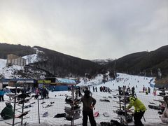 -密苑云顶乐园