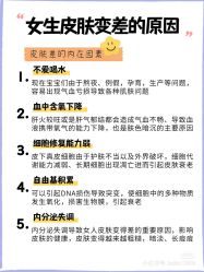 -凡碧诗毛孔清洁收细