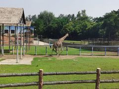 -西安秦岭野生动物园