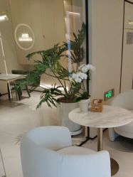 -琴美美容美发·三美会所