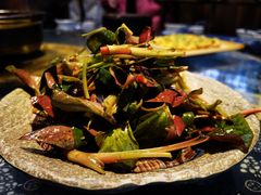 -青城甲(青城山店)