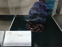 -中国第四纪冰川遗迹陈列馆