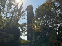 -上海佘山国家森林公园天马山园