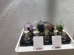 -薇薇安花系SPA