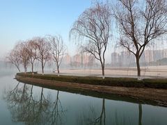 -白塘生态植物园