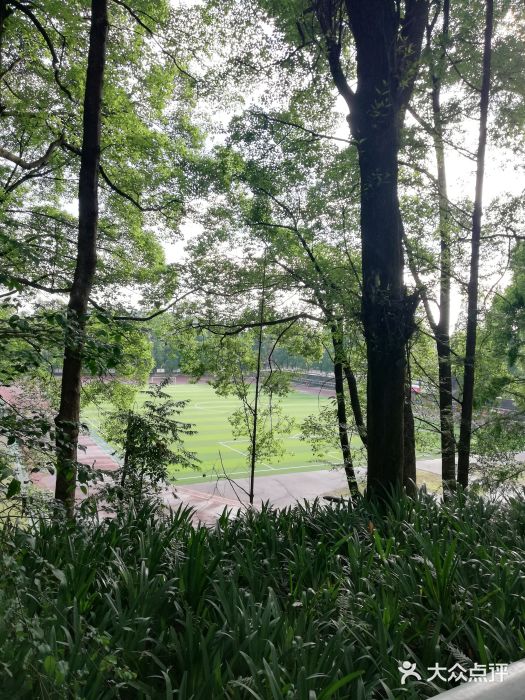 西南交通大学(峨眉校区)图片