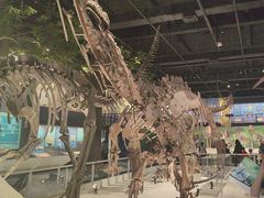 -国家自然博物馆