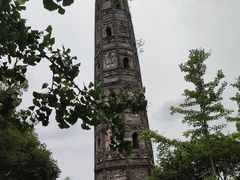 -上海佘山国家森林公园天马山园