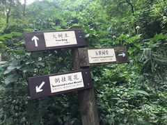 -天目山大树王景区