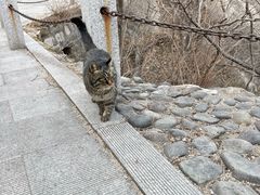 -北京凤凰岭