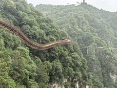 -少华山国家森林公园