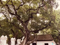 -黄埔军校旧址纪念馆