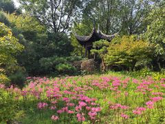 -杭州植物园